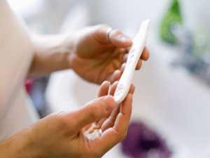 Can You Ovulate While Pregnant