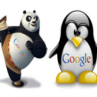 Has Google Panda Ruined Your Business Website Traffic?