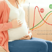 HCG Levels Chart during Pregnancy: Week by Week