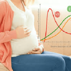 HCG Levels Chart during Pregnancy: Week by Week