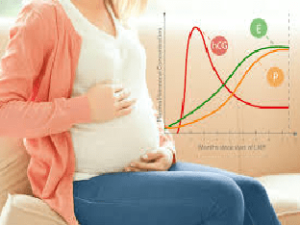 HCG Levels Chart during Pregnancy: Week by Week