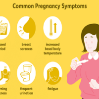 Triphasic Chart and Pregnancy