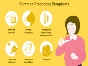 Triphasic Chart and Pregnancy