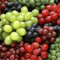 Чем полезен виноград для организма?